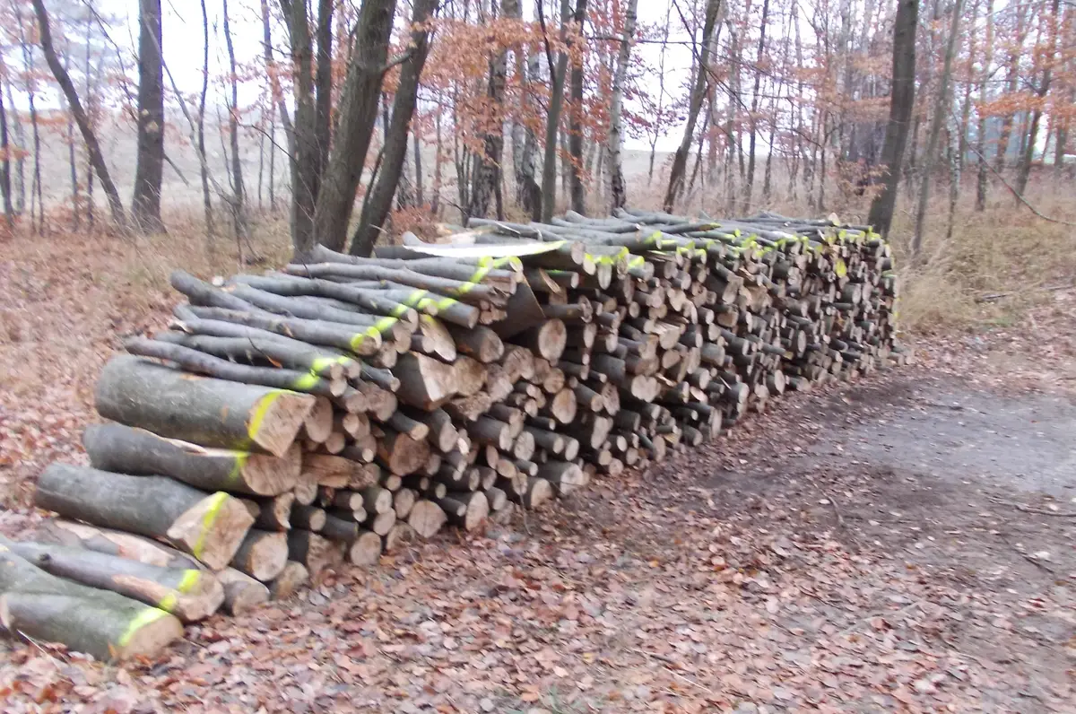 LB Holz Luboš Burian